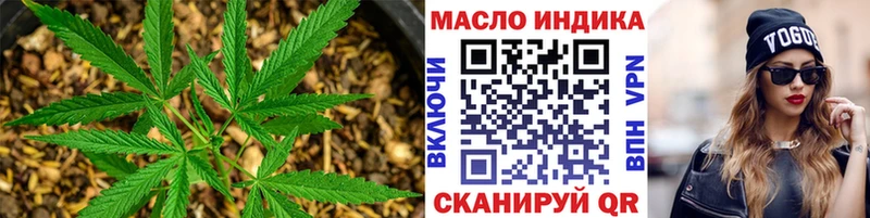 Купить закладки  Петухово  Дистиллят ТГК гашишное масло 