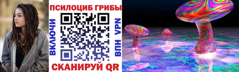 Купить  Петухово  Галлюциногенные грибы мицелий 